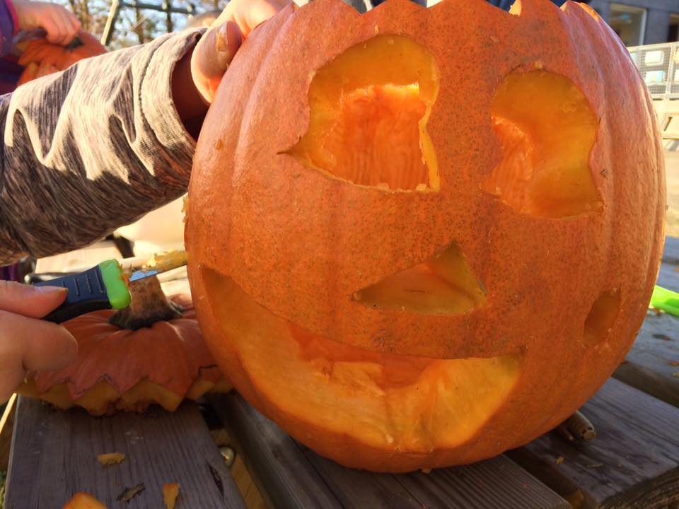 Græskar til halloween