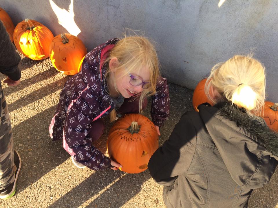 Græskar til halloween