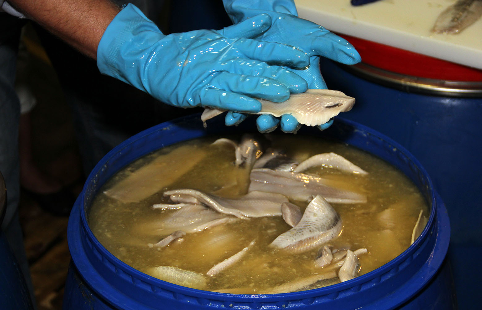 Rundvisning på Tenax Sild