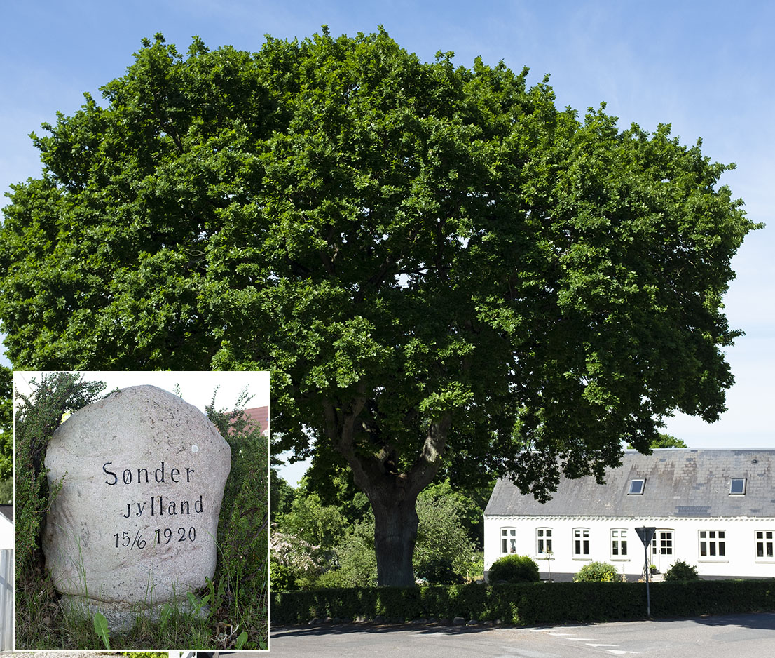 Genforeningen 100 år