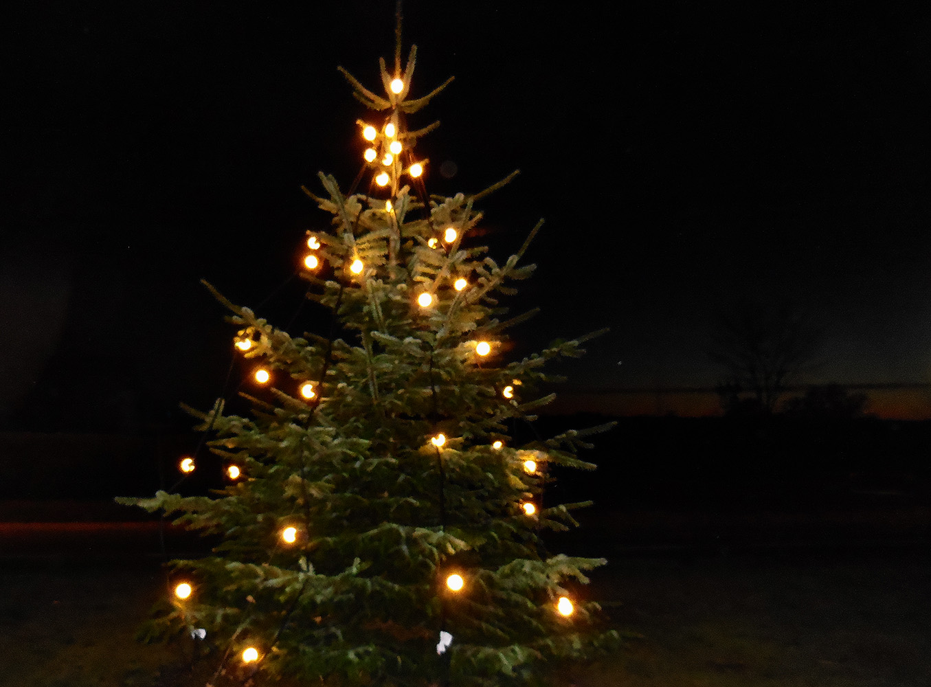 Juletræ i Frørup