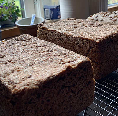 Tårupportalens bedste rugbrød