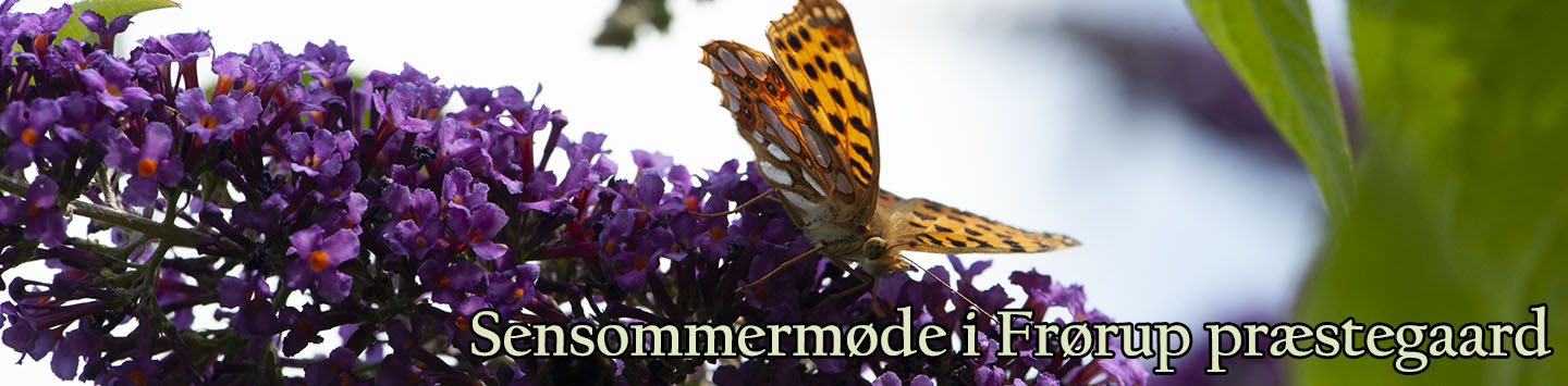 Sensommermøde i Frørup præstegård