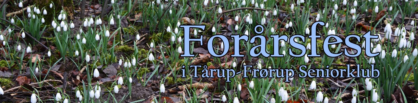 Forårsfest